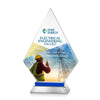 Valhalla VividPrint™ Award