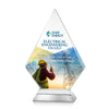 Valhalla VividPrint™ Award