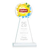 Laidlaw VividPrint™/Etch Award