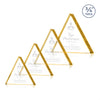 Adler Triangle Award