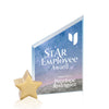 Cooper VividPrint™ Award - Starfire/Gold Star