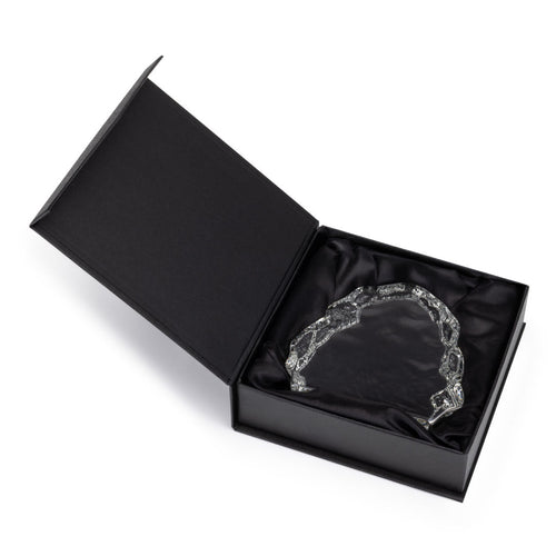 Houston VividPrint™ Iceberg Award
