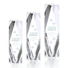 President Award