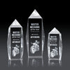 Bloomington Award 3D