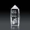 Bloomington Award 3D