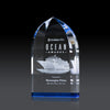 Strobel Award (3D)