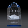Strobel Award (3D)