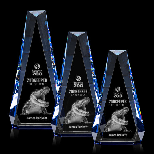 Carmel 3D Award