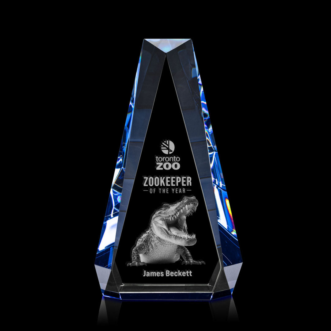 Carmel 3D Award