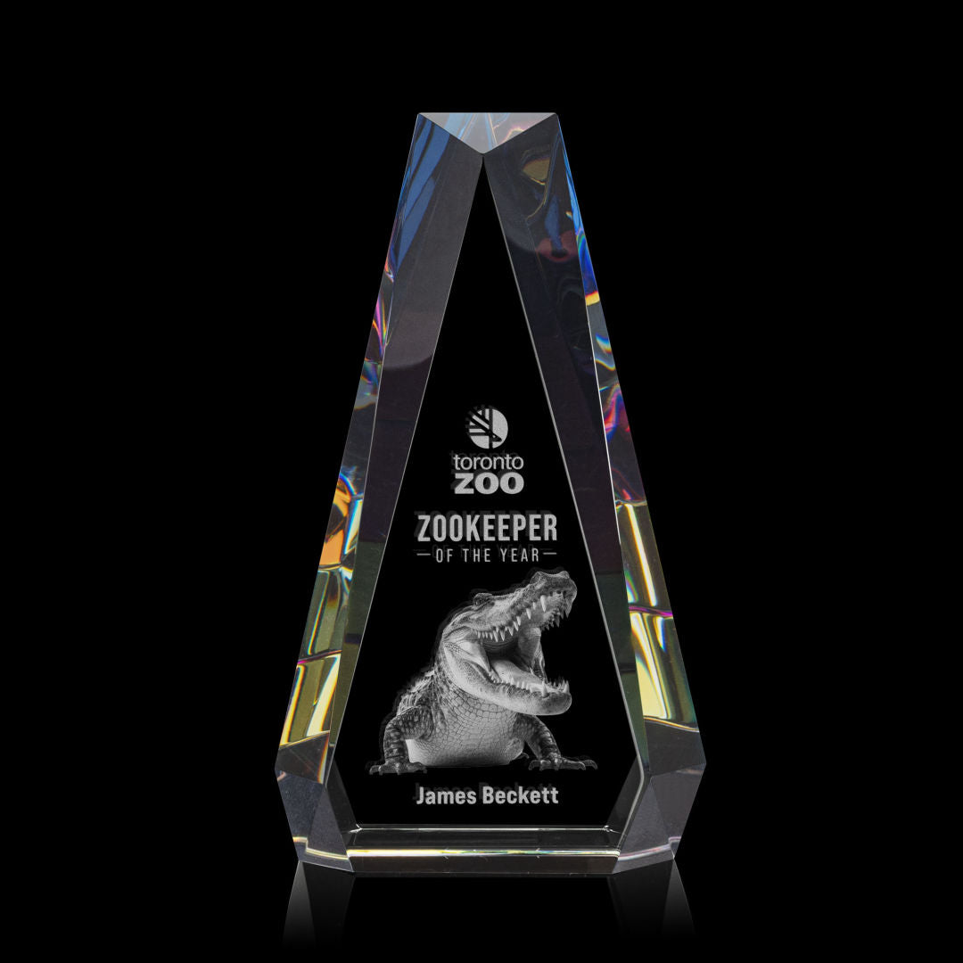 Carmel 3D Award