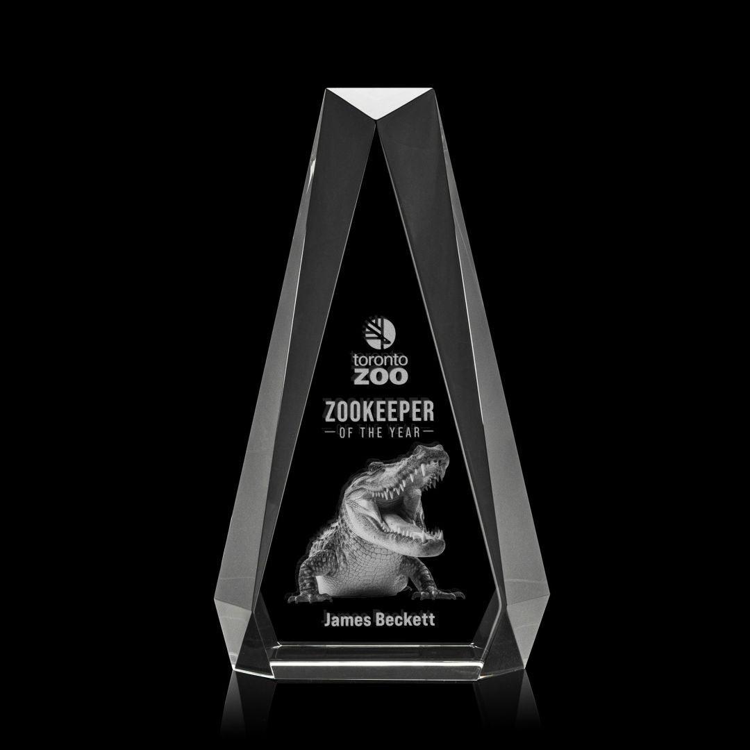 Carmel 3D Award