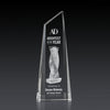 Akron Tower 3D Award