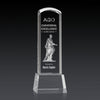 Silkwood 3D Award on Base