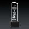 Silkwood 3D Award on Base