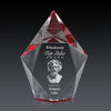 Devron 3D Award