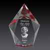Devron 3D Award