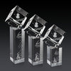 Burrill 3D Award on Dakota Base