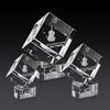 Burrill 3D Award on Paragon Base