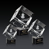 Burrill 3D Award on Paragon Base