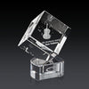 Burrill 3D Award on Paragon Base