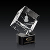 Burrill 3D Award on Paragon Base