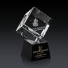 Burrill 3D Award on Robson Base