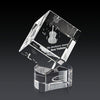 Burrill 3D Award on Paragon Base
