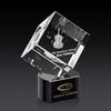Burrill 3D Award on Paragon Base