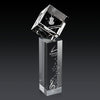 Burrill 3D Award on Dakota Base