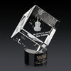 Burrill 3D Award on Marvel Base