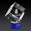 Burrill 3D Award on Marvel Base