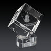 Burrill 3D Award on Paragon Base