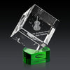 Burrill 3D Award on Paragon Base