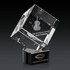 Burrill 3D Award on Paragon Base