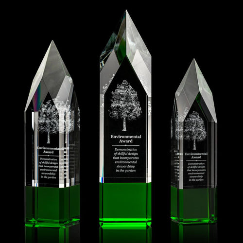 Coventry 3D Award