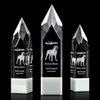 Coventry 3D Award