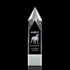Coventry 3D Award