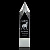 Coventry 3D Award