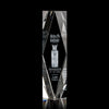President 3D Award