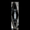 President 3D Award