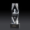Delta 3D Award on Base