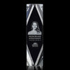 Delta Award 3D