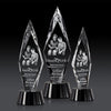 Manilow Award 3D
