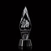 Manilow Award 3D