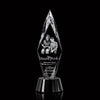 Manilow Award 3D