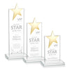 Bryanston Gold Star Award