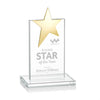 Bryanston Gold Star Award