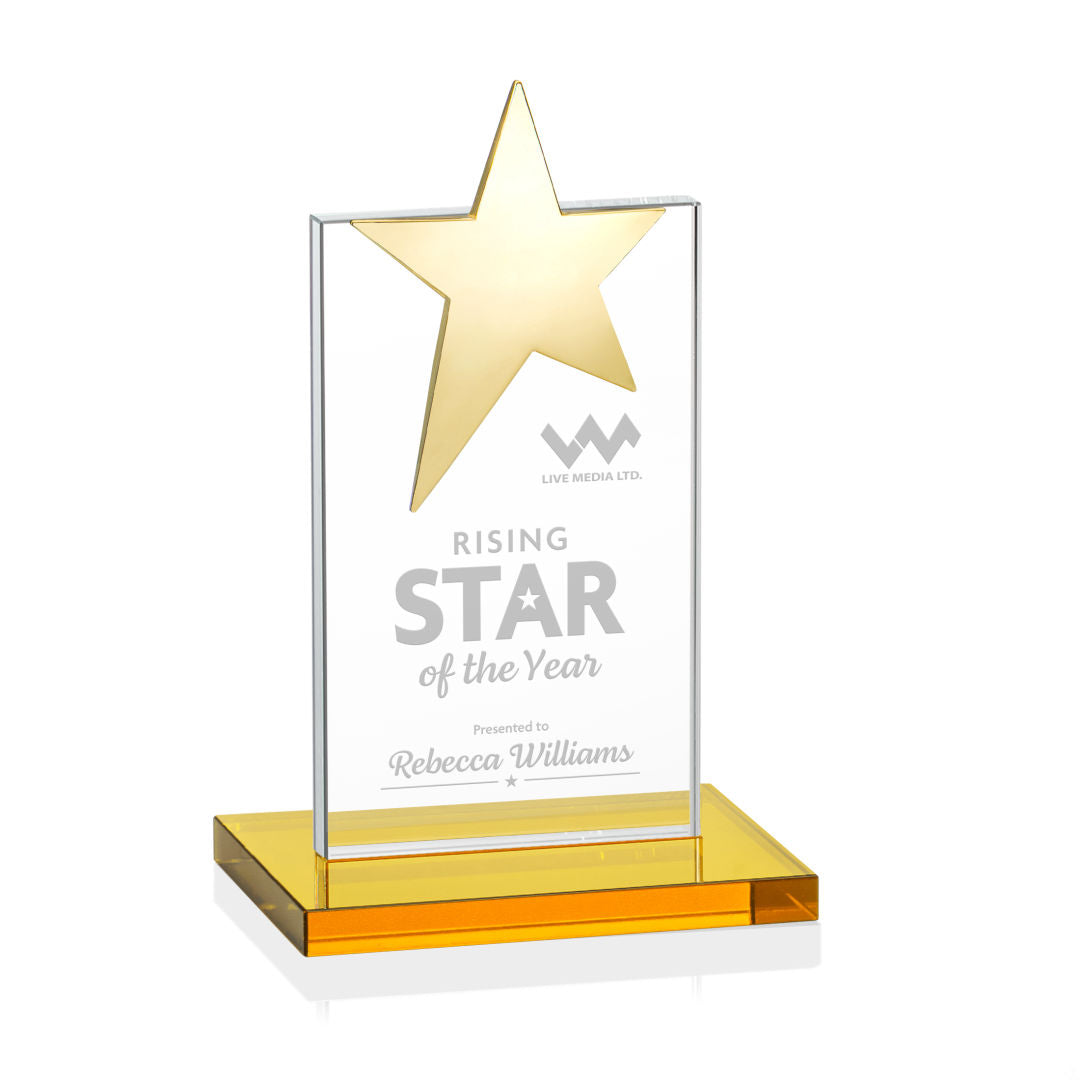Bryanston Gold Star Award