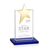 Bryanston Gold Star Award