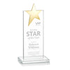 Bryanston Gold Star Award